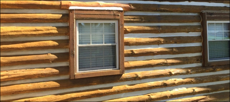 Log Home Whole Log Replacement  McIntosh County, Georgia